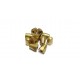 Reality M5 Lock Nut Set (2pc) Gold