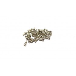 Rigidrc Mini Scale M2 Hex Bolts (50pcs)