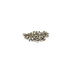 Rigidrc Mini Scale M2 Nuts (50pcs)