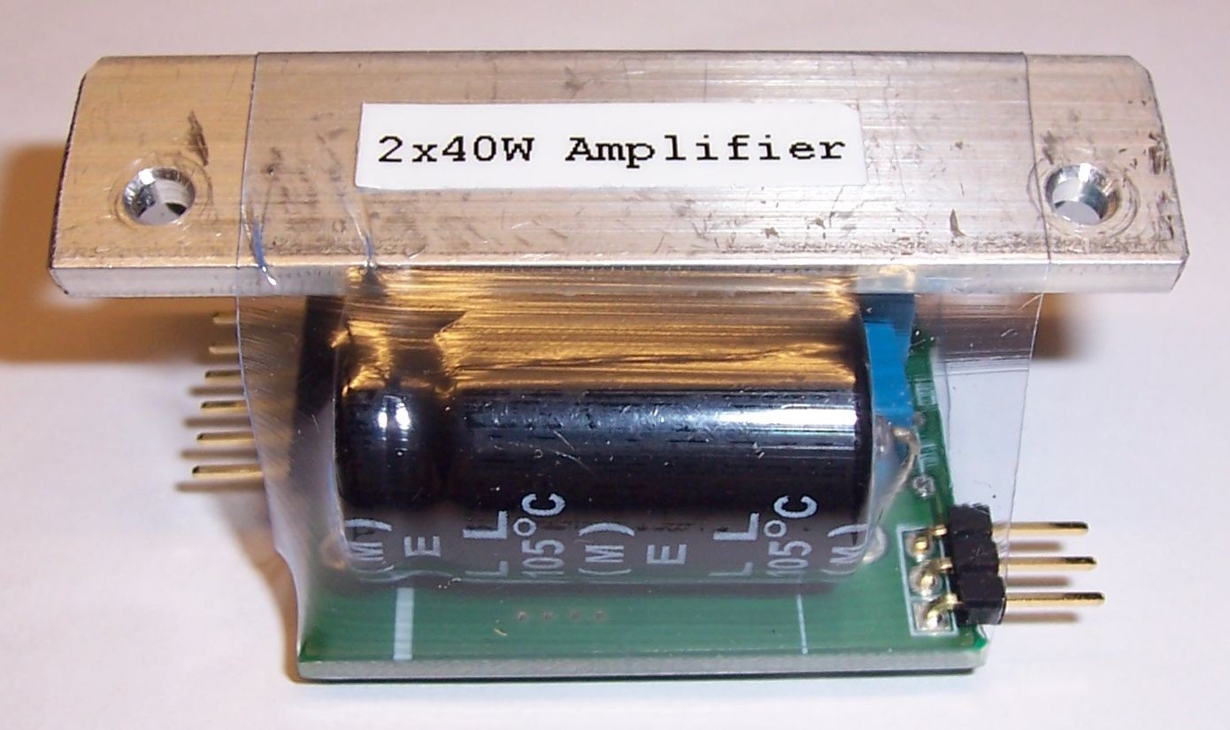 2 x 40W Power Amplifier for Sound Module Rigidrc Shop